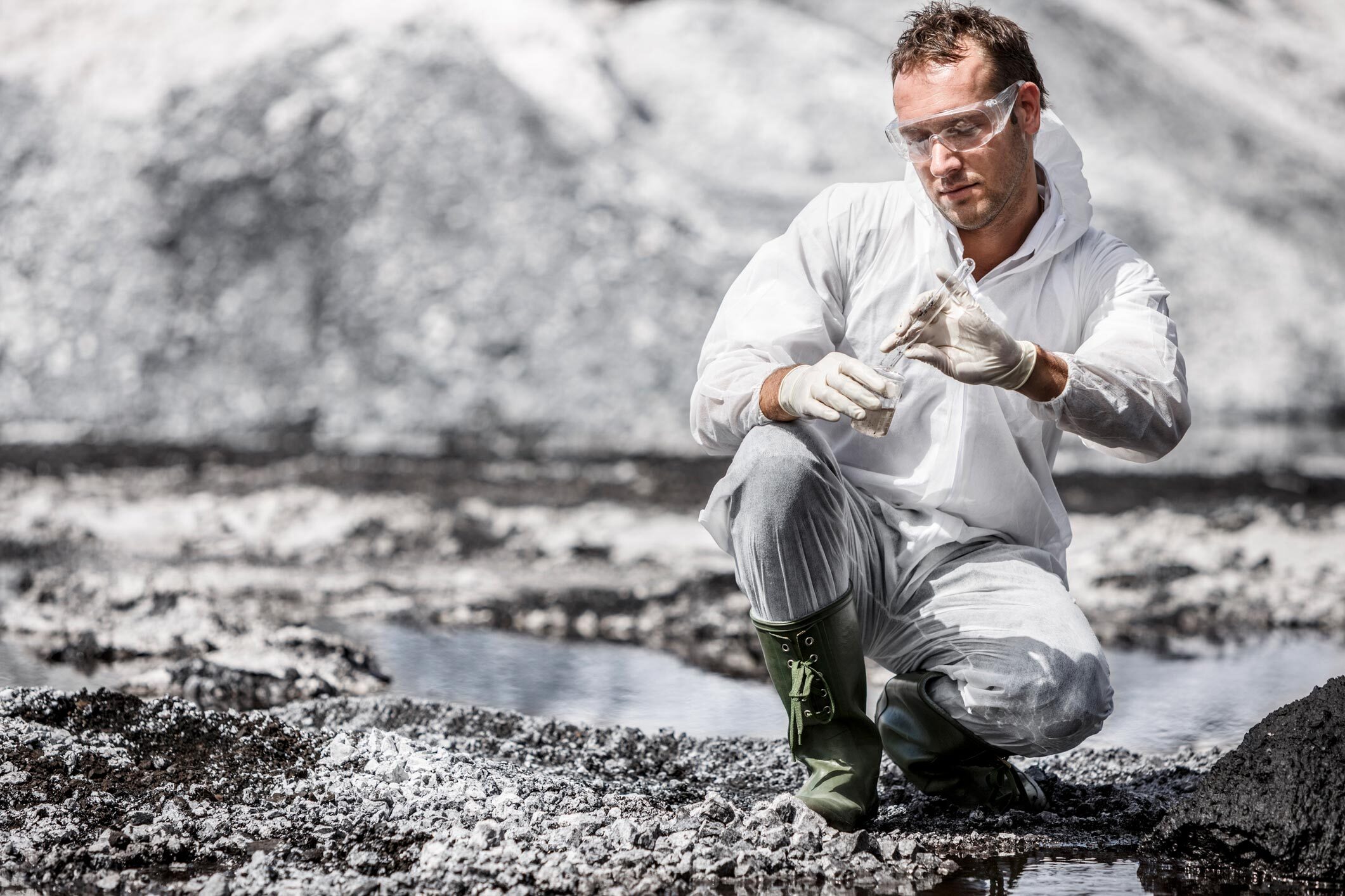 Environmental Project Management Software Ganttic